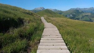 Hélène Piserchia - Sophrologue à Epinay sur Orge Gometz-la-Ville, Stress