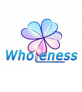 Wholeness - Jörg Schmidt Metz, Sommeil, Acouphènes