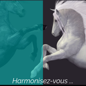 Muriel Le Rolland sophrologue & hypnothérapeute Verneuil-sur-Seine, 