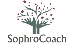 Stéphanie FERREIRA Lesches, Stress