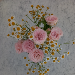 Lunessence Joy Sables-d'Olonne, 