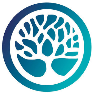 Renaud DAPRILE Metz, 