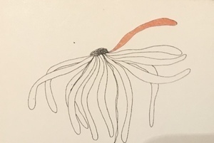 Géraldine DE RAIGNIAC Berry-Bouy, 